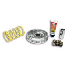 MALOSSI Variador Multivar 5111225 60908