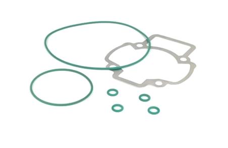 TOP PERFORMANCES Water motor gasket kit 1018462
