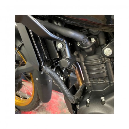 PUIG Chassis plugs 22323