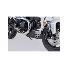 SW-MOTECH engine guard MSS.01.203.10000