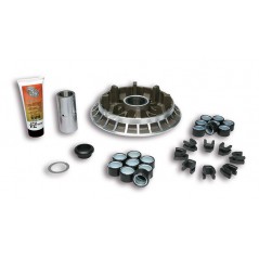 MALOSSI Variador Multivar 5117082 (antiguo 5115470) 60881