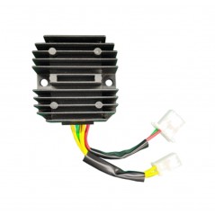 TECNIUM Alternator current regulator 1148704