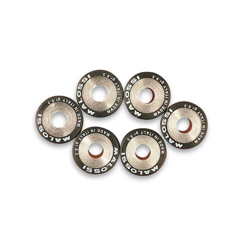 MALOSSI Rodillos variador (6u) HTRoll Ø25x22,2 gr.24 6613968.B0 60686