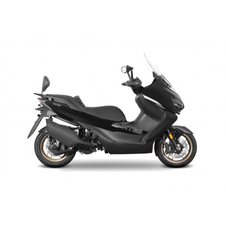 SHAD Anclajes soporte fijacion para respaldo trasero pasajero (sin respaldo) Z0K365RV