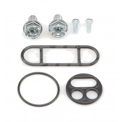 Petrol faucet repair kit