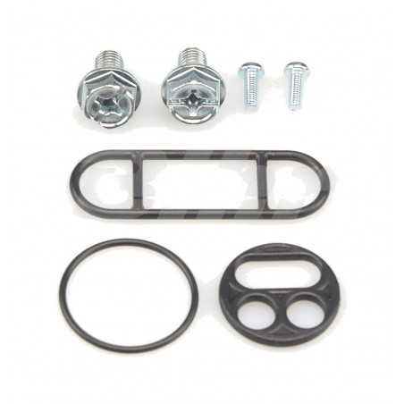 Petrol faucet repair kit