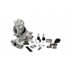 MALOSSI Cárter motor completo 1147900