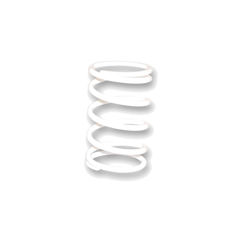 MALOSSI Clutch Spring K 15 1148624