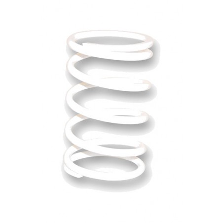 MALOSSI Muelle de embrague K 15 1148624