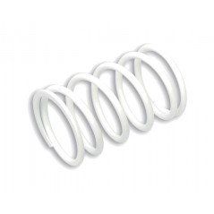 MALOSSI Clutch Spring K 10 1148627