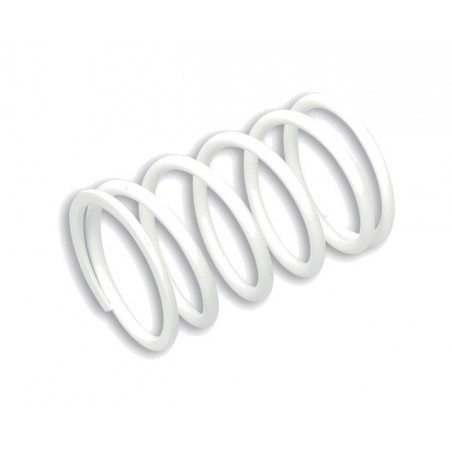 MALOSSI Clutch Spring K 10 1148627