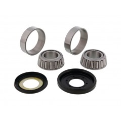 ALL BALLS Steering Column Bearing Kit 22-1005 1149571