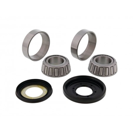 ALL BALLS Steering Column Bearing Kit 22-1005 1149571