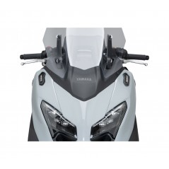 PUIG Mirror Covers 22568