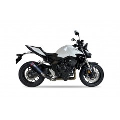 IXIL Tubo de escape silenciador XC XTREM CARBON SLIP-ON 1149278001