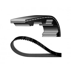 DAYCO Correa 1149360