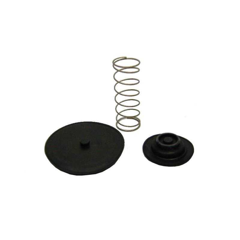 Petrol faucet repair kit