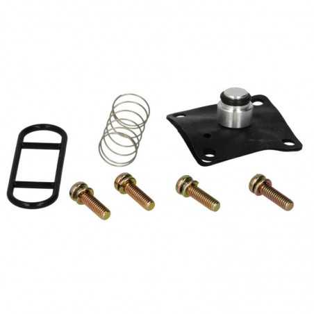 Petrol faucet repair kit