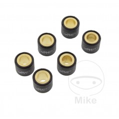 JMP Set of 6 variator rollers 15 G 19 X 17 MM 783.03.20