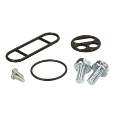 Petrol faucet repair kit