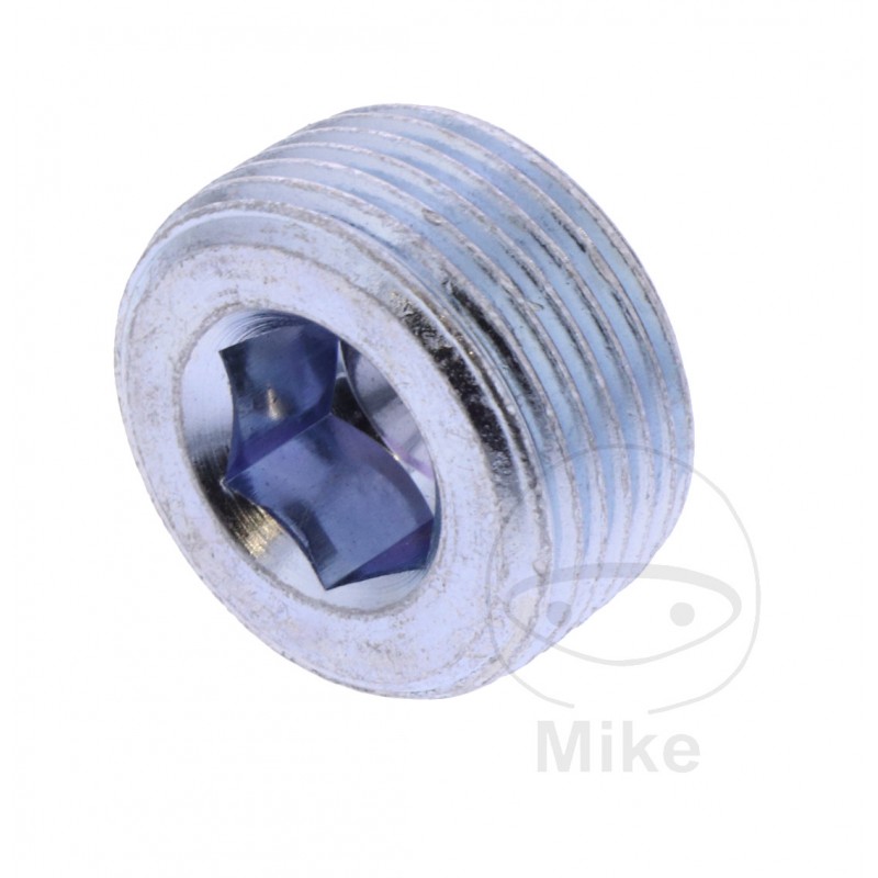 JMP Oil Drain Plug for Crankcase 3562523