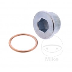 JMP Tornillo de drenaje aceite con anillo sellado para cárter ID 3562434 3562536