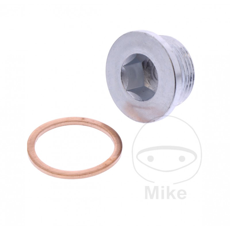 JMP Oil Drain Plug with Sealing Ring for Crankcase 3562541