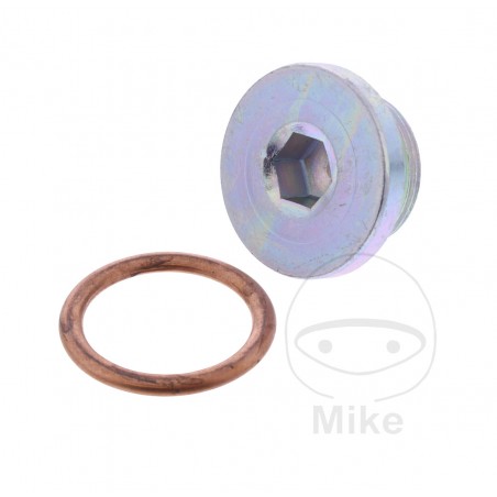 JMP Oil Drain Plug with Sealing Ring for Crankcase 3562548