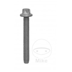 JMP Screws for swivel bar support M8X63MM 10 4811262