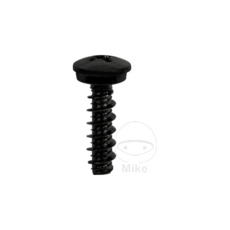 JMP Phillips Head Screws for Plastic 10 4811263