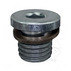 JMP Oil Pan Sealing Bolt with Gasket M12 10P 4811206