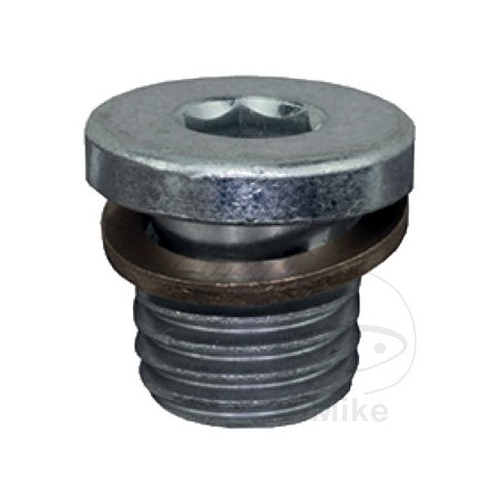 JMP Oil Pan Sealing Bolt with Gasket M12 10P 4811206