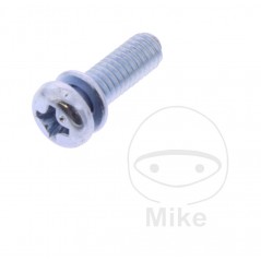 JMP Carburetor screw M4 12 MM 10P 7243643
