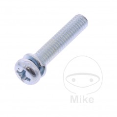 JMP Carburetor screw M4 20 MM 10P 7243653