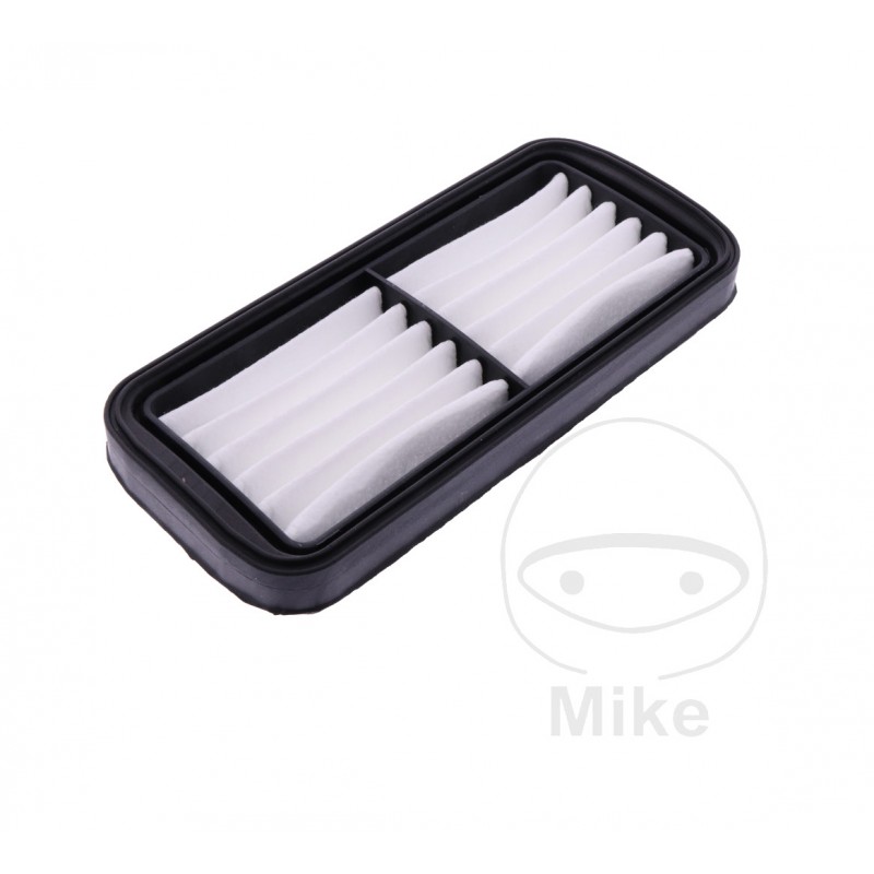 Air Filter OEM (REC ORIGINAL) 7233123