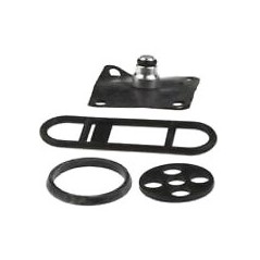 Petrol faucet repair kit