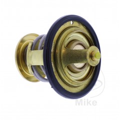 Thermostat OEM (REC ORIGINAL) 7810325