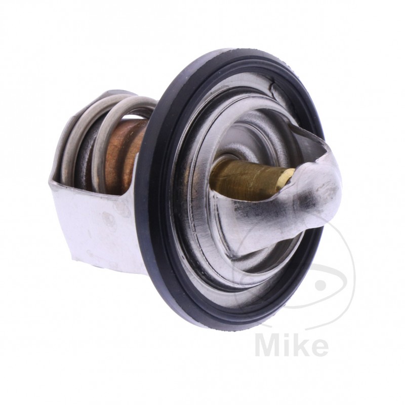 Thermostat OEM (REC ORIGINAL) 7810331