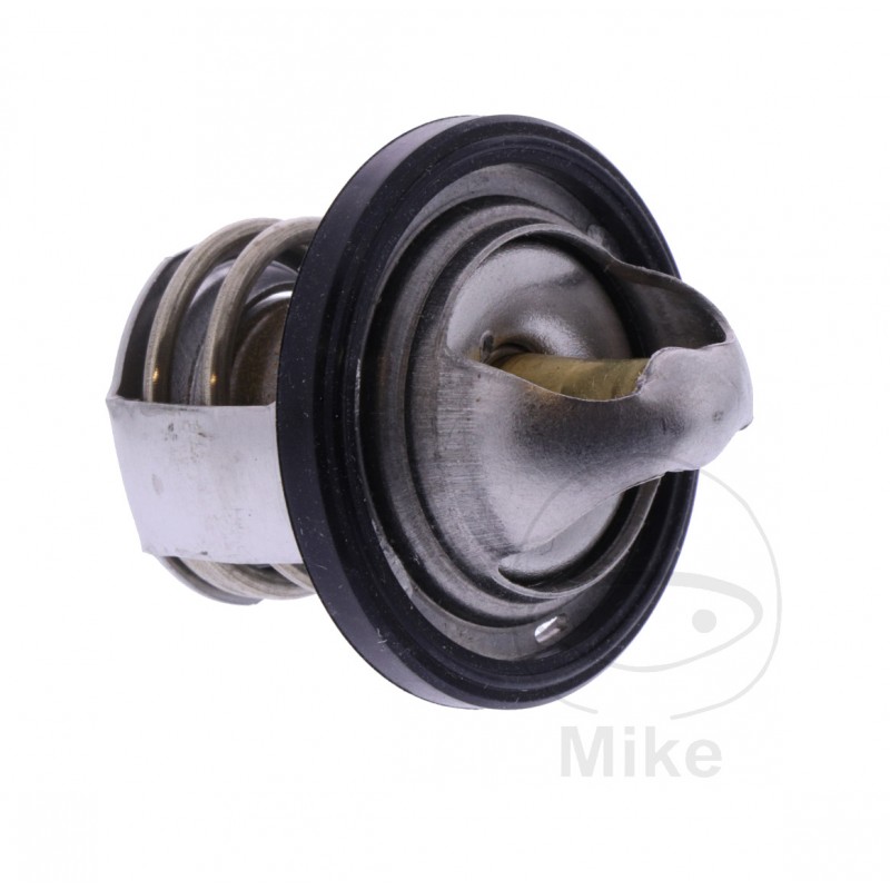 Termostato OEM (REC ORIGINAL) 7810351