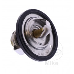 Thermostat OEM (REC ORIGINAL) 7810377