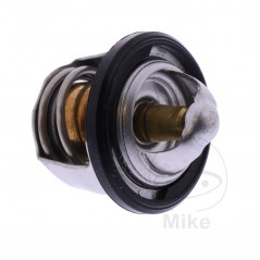 Termostato OEM (REC ORIGINAL) 7810381