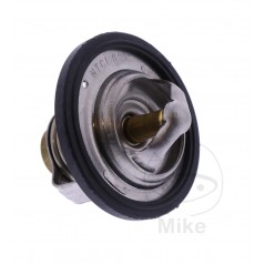Thermostat OEM (REC ORIGINAL) 7810384