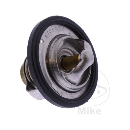 Thermostat OEM (REC ORIGINAL) 7810384