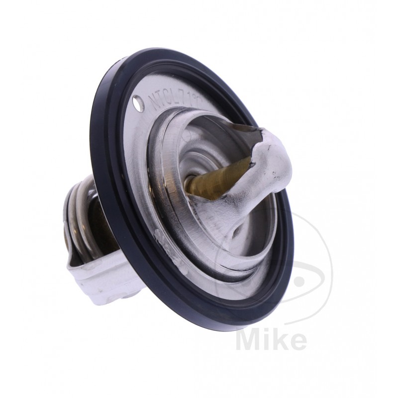 Thermostat OEM (REC ORIGINAL) 7810398