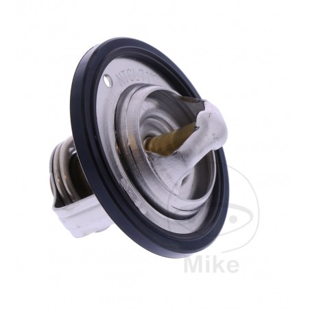 Thermostat OEM (REC ORIGINAL) 7810398