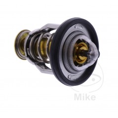 Thermostat OEM (REC ORIGINAL) 7810423