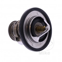 Thermostat OEM (REC ORIGINAL) 7810425