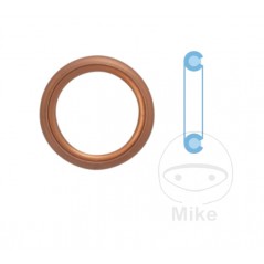 CORTECO Oil Drain Screw Sealing Ring ALTN 3820621 (100 PCS) 4554121