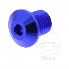 DAYTONA Right Side Mirror Screw Cap M10 X 1.25 MM 11MM 7753622