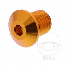 DAYTONA Right Side Mirror Screw Cap M10 X 1.25 MM 11MM 7753623